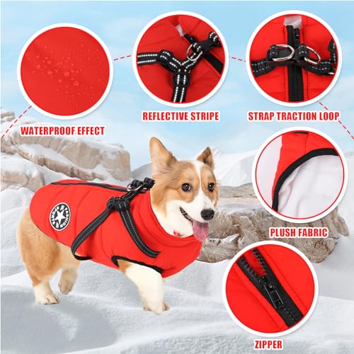 Waterproof Winter Dog Coat with Harness
