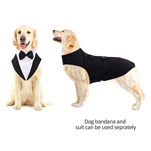 Black Dog Tuxedo Suit - Formal Wedding Apparel
