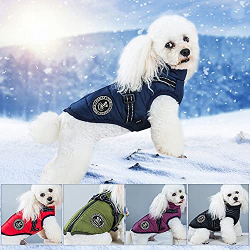 Waterproof Dog Winter Jacket with Harness for Small Dogs
