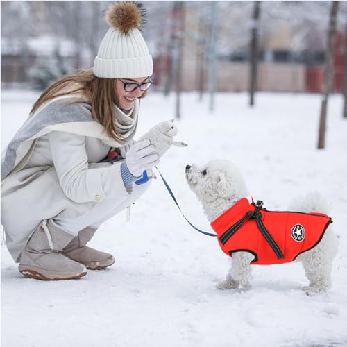 Waterproof Winter Dog Coat with Harness