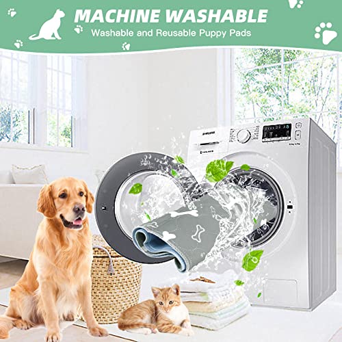 Baodan Washable Dog Training Pads - 2 Pack