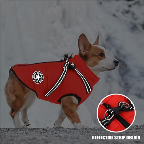 Waterproof Winter Dog Coat with Harness