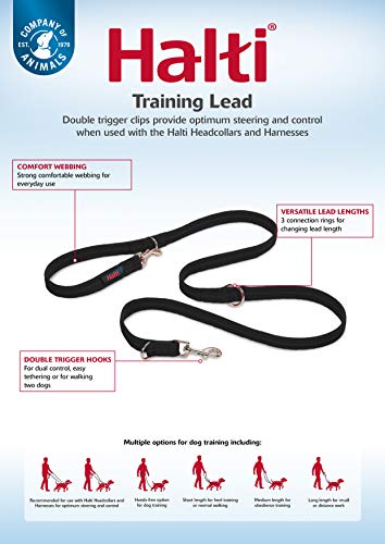 Black HALTI Training Lead for Small Dogs