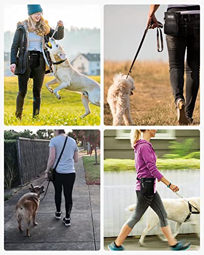 Adjustable Dog Training Treat Pouch with Clicker