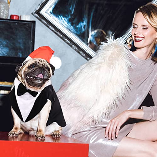 Black Dog Tuxedo Suit - Formal Wedding Apparel