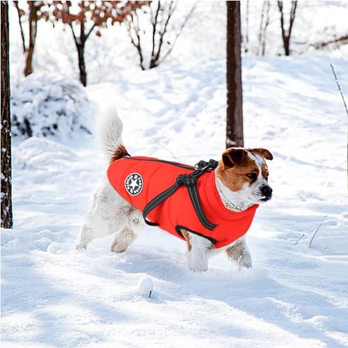 Waterproof Winter Dog Coat with Harness