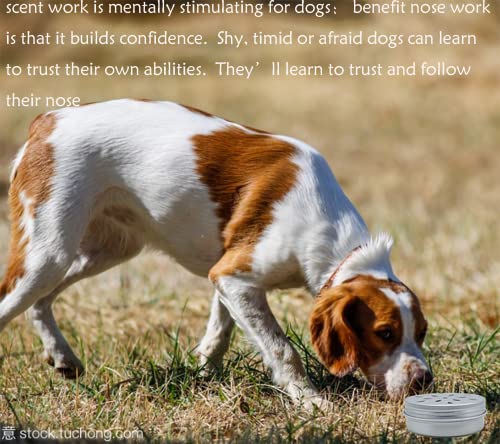 Dog Scent Training Box Set: 6-Pack Scent Work Containers