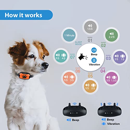 Rechargeable Anti Barking Collar for Dogs - Blue