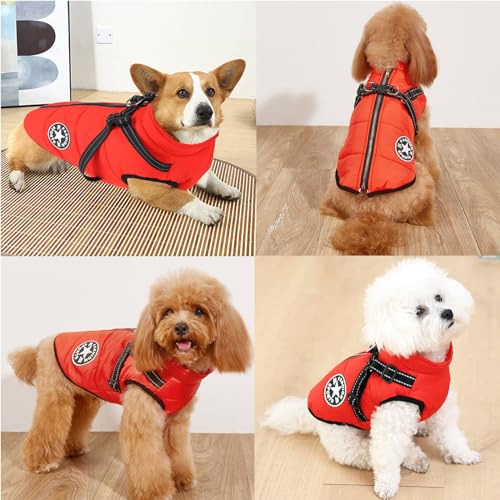 Waterproof Winter Dog Coat with Harness