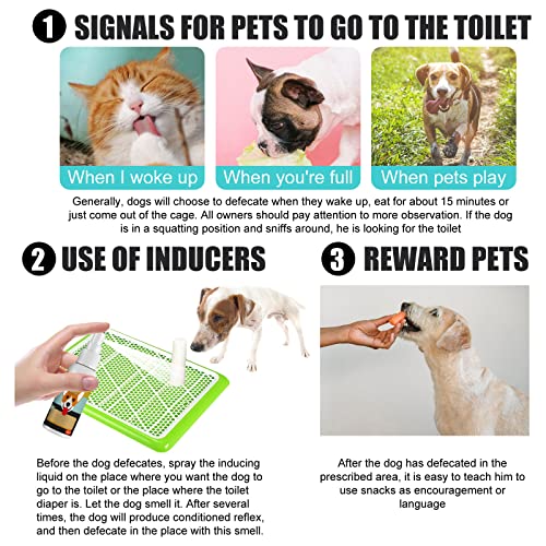 Dog Potty Training Spray - Outdoor & Indoor Use
