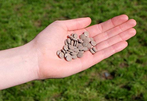 Barker's Little Liver Training Treats - Low Fat