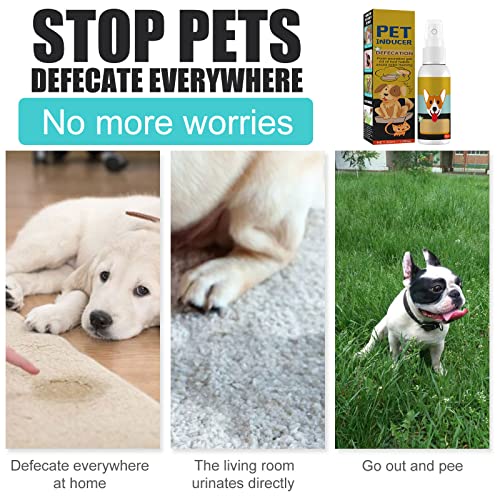 Dog Potty Training Spray - Outdoor & Indoor Use
