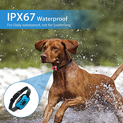 Rechargeable Anti Barking Collar for Dogs - Blue