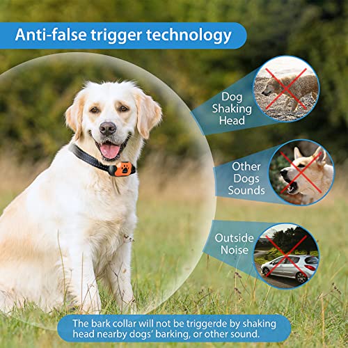 Rechargeable Anti Barking Collar for Dogs - Blue