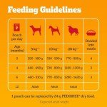 Pedigree Junior Wet Dog Food for Puppies 12 Pack