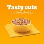 Pedigree Junior Wet Dog Food for Puppies 12 Pack