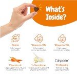 Zesty Paws 5-in-1 Dog Multivitamin Chews