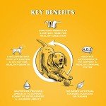 Chicken Recipe Dry Puppy Food with Omega-3s 10kg