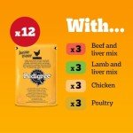 Pedigree Junior Wet Dog Food for Puppies 12 Pack