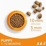 IAMS Puppy Dry Dog Food for Small Breeds