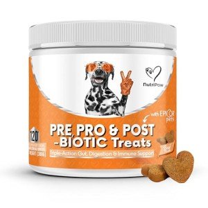 NutriPaw Digestive Treats for Dogs' Gut Health