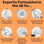 NutriPaw Digestive Treats for Dogs' Gut Health