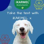 Doggy Dailies: Skin, Coat, Joint & Probiotic Dog Vitamins