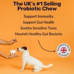 NutriPaw Digestive Treats for Dogs' Gut Health