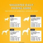 Dr John High Protein Puppy Food - Chicken Recipe