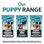 Burns Hypoallergenic Puppy Dry Dog Food, Chicken & Rice