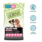 Grain-Free Duck & Potato Puppy Dog Food, 2 kg