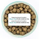 Grain-Free Duck & Potato Puppy Dog Food, 2 kg