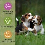Natural Hypoallergenic Dog Treats with Turmeric & Carrot