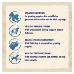 Beta Puppy Chicken Dry Dog Food 14kg