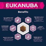 Eukanuba Dry Dog Food for Medium Puppy Breeds