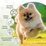 Natural Hypoallergenic Dog Treats with Turmeric & Carrot