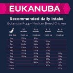 Eukanuba Dry Dog Food for Medium Puppy Breeds
