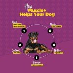 ProDog Muscle+ Weight Gainer for Dogs - 60 Servings