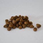Puppy Lamb & Rice Dry Food for Large Breeds