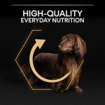 Purina Pro Plan Small & Mini Adult Dog Food