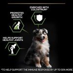 Pro Plan Medium Puppy Dry Dog Food 12kg