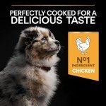 Pro Plan Medium Puppy Dry Dog Food 12kg