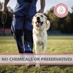 Natural Turkey Dog Treats - Grain Free & High Protein