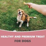 Natural Turkey Dog Treats - Grain Free & High Protein