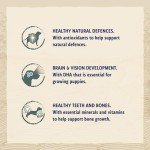 Beta Dry Dog Food for Small Dogs, Chicken 2kg