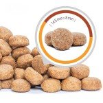 Husse Dry Dog Food, Chicken for Large Puppies