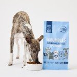 Scrumbles Gluten-Free Dry Dog Food with Chicken