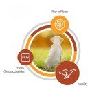 Husse Dry Dog Food, Chicken for Large Puppies