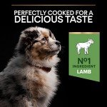 Pro Plan Sensitive Digestion Medium Puppy Food 3kg