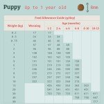 Vet-Approved Protein Rich Puppy Dry Dog Food